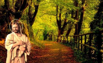 paisios-giati-o-theos-epitrepei-ston-diabolo-na-mas-enoxlei-kai-na-mas-vlaptei-peirasmoi-